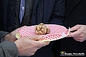 VBS_7170 - Fiera Nazionale del Tartufo e dei Santi 2022